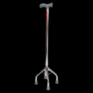 Walking Stick